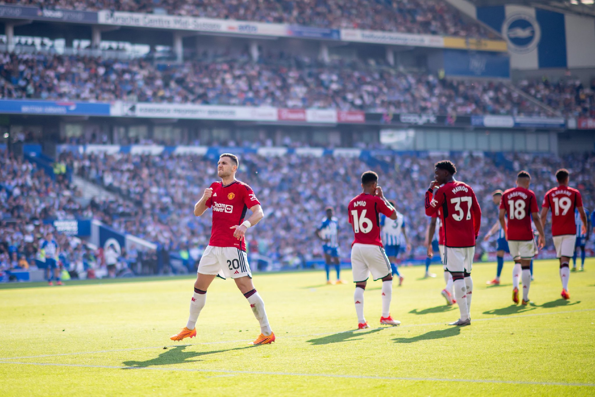 适的观赛条 适的观赛条